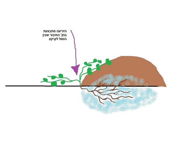 Screen Shot 2014-09-29 at 5.03.02 PM