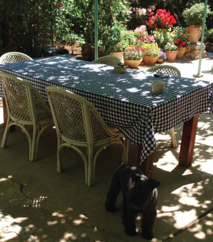 צילמה, אביגיל הלר Screen Shot 2014-09-27 at 6.06.06 PM