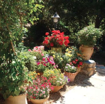 צילמה, אביגיל הלר Screen Shot 2014-09-27 at 6.06.12 PM