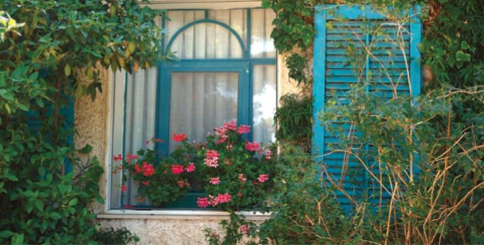 צילמה, אביגיל הלר Screen Shot 2014-09-27 at 6.06.35 PM