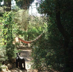 צילמה, אביגיל הלר Screen Shot 2014-09-27 at 6.06.51 PM