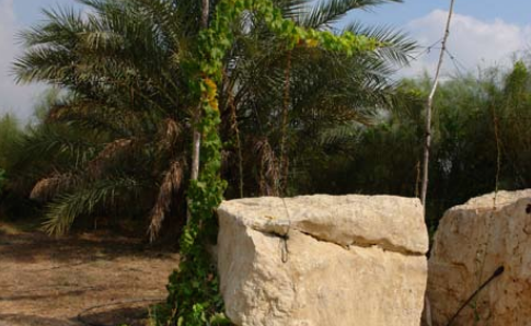 צילמה, אביגיל הלר Screen Shot 2014-09-26 at 8.48.30 AM