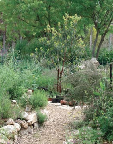 Screen Shot 2014-09-25 at 10.25.18 PM