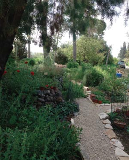 Screen Shot 2014-09-25 at 10.25.35 PM