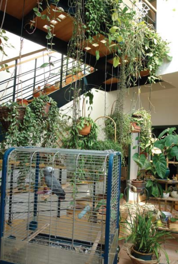 צילמה, אביגיל הלר Screen Shot 2014-09-27 at 3.34.57 PM