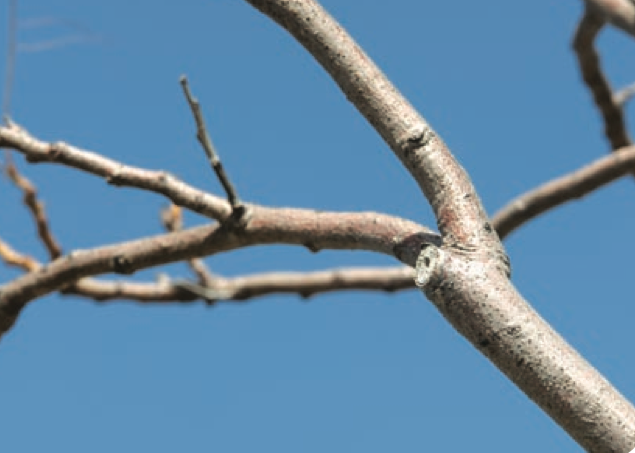 Screen Shot 2014-09-23 at 10.33.57 AM