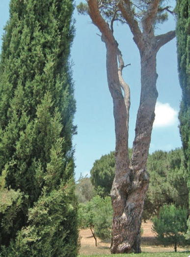 Screen Shot 2014-09-23 at 10.35.22 AM