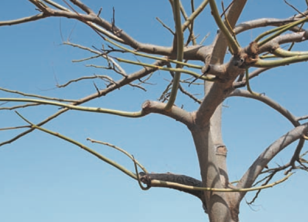 Screen Shot 2014-09-23 at 2.57.09 PM