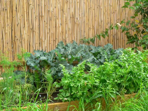 צילם, אילן בר Screen Shot 2014-10-08 at 7.38.41 AM