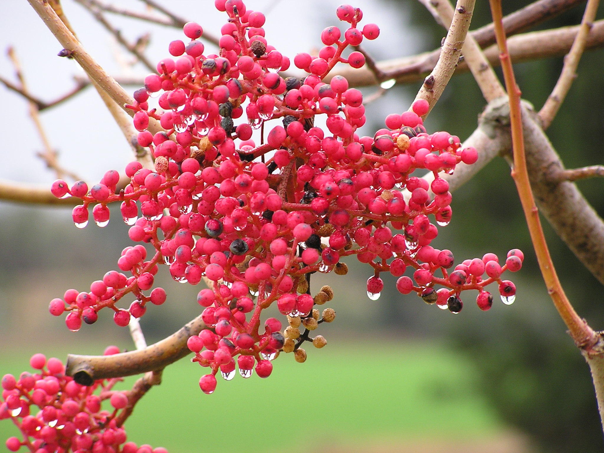 צילם: דרור ניסן