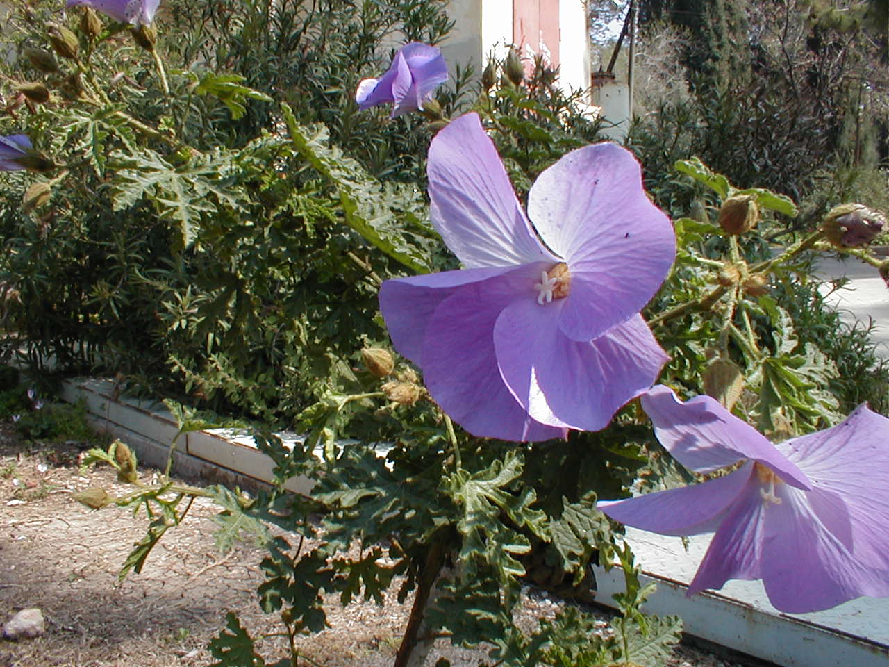 צילם: דרור ניסן 5