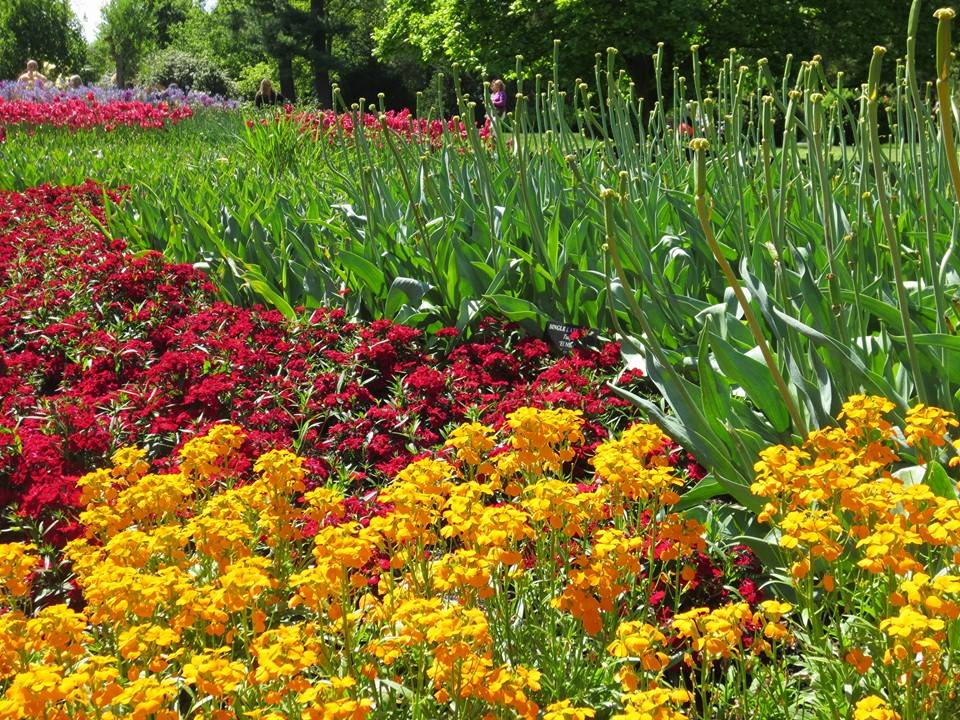 הגן הבוטני בפילדלפיה 547  Longood Gardens 