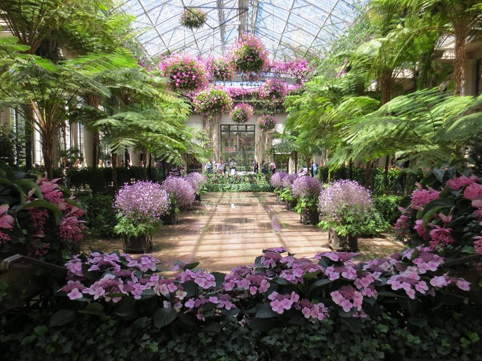 הגן הבוטני בפילדלפיה  Longood Gardens    547