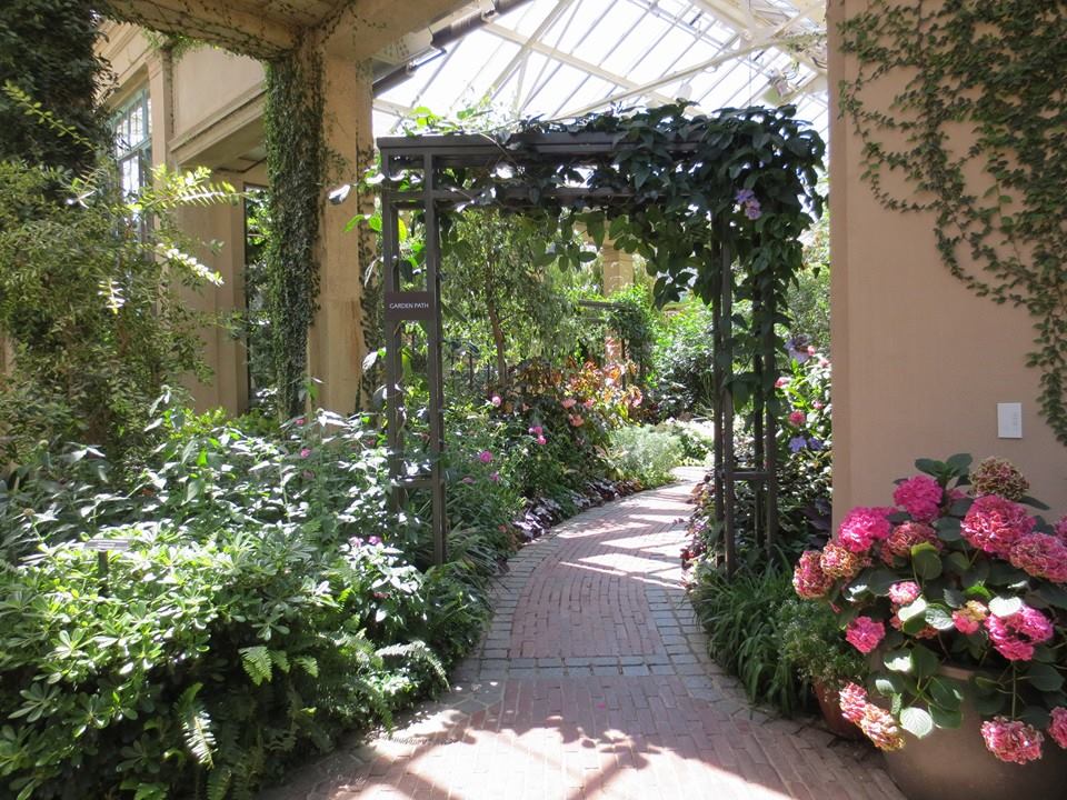 הגן הבוטני בפילדלפיה   547 Longood Gardens 