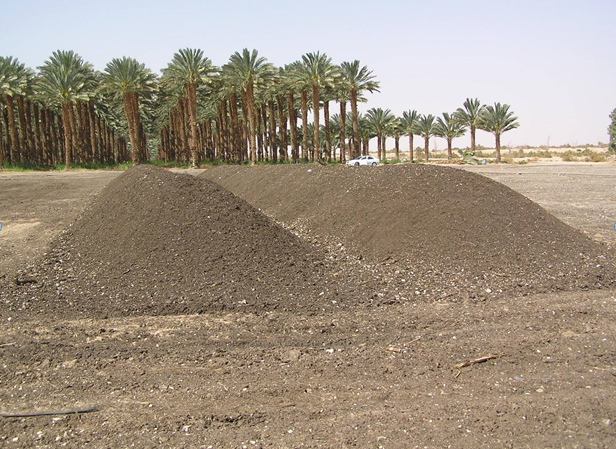 שלמה קרמר 583 ערימות דשן