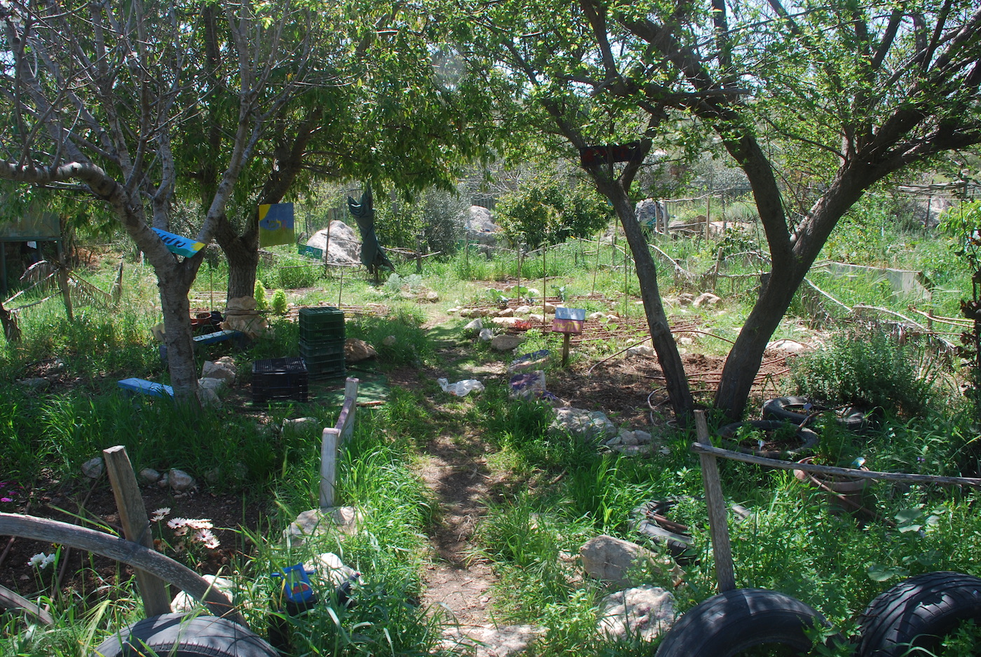 601 גינה קהילתית חווה ואדם