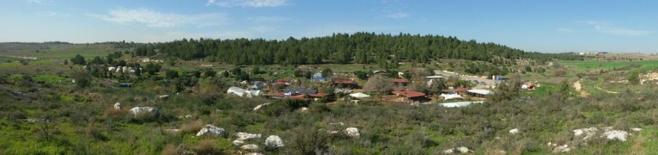 חווה ואדם 601