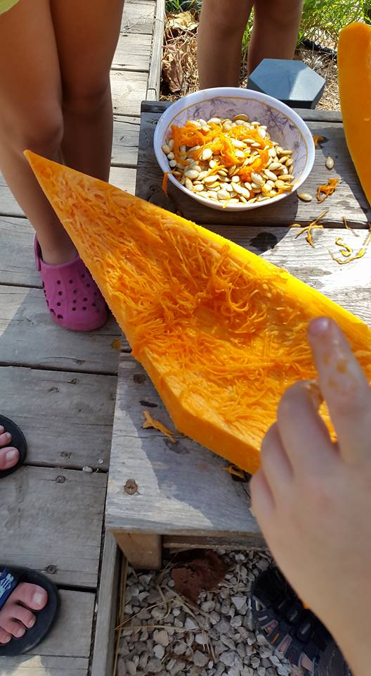 הדלעת או הילדים מי יותר כבד 613