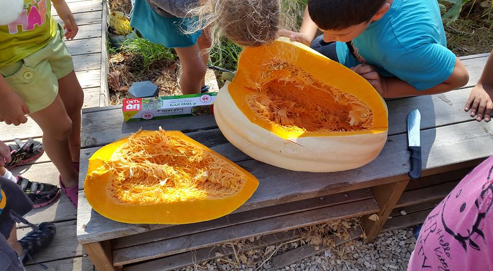 הדלעת או הילדים מי יותר כבד 613