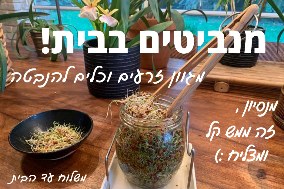 הנבטה בייתית 1