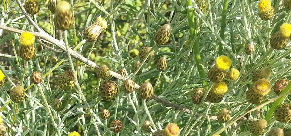 20130410 092132-copy