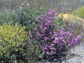  צילום: Campo de Calatrava, PD-self