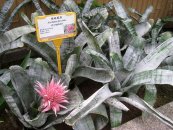  צילום: By Daderot (I took this photograph.) [Public domain], via Wikimedia Commons