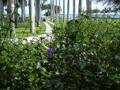  צילום: Forest & Kim Starr [CC-BY-3.0 (http://creativecommons.org/licenses/by/3.0)], via Wikimedia Commons