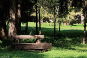 ספסל בגן בוטני יער אילנות