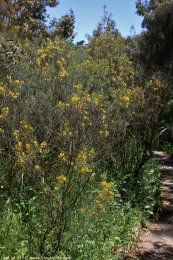  צילום: רועי קן-תור