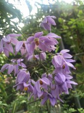  צילום: עידית פרגר גלילי