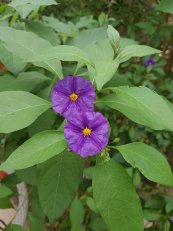  צילום: יורם חיימוביץ