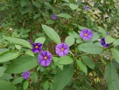  צילום: יורם חיימוביץ