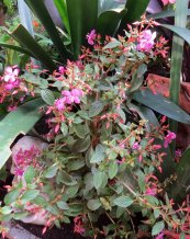  צילום: יעל פריד