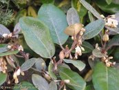  צילום: www.ColorfulNature.com