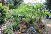 הגינה של אבי - גן פורח, בוסתן וגן ירק אורגני