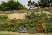 גן בוטני באוקספורד