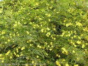  צילום: www.ColorfulNature.com