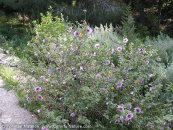  צילום: www.ColorfulNature.com