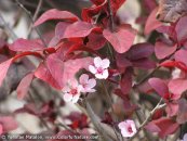  צילום: www.ColorfulNature.com