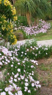  צילום: יפה לוי