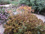  צילום: יאיר פקר, יאיר הגנן