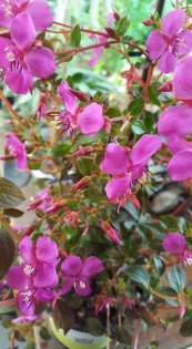  צילום: תמי שרון