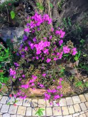  צילום: קיקה צוקרמן