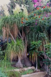  צילום: יפה לוי