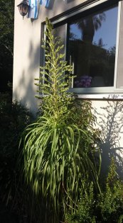  צילום: יורם חיימוביץ