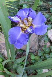  צילום: יעל פריד