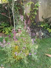  צילום: טלי גרוסמן