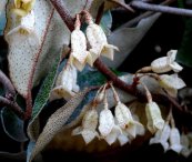  צילום: רחל פורת