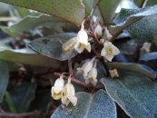  צילום: רחל פורת